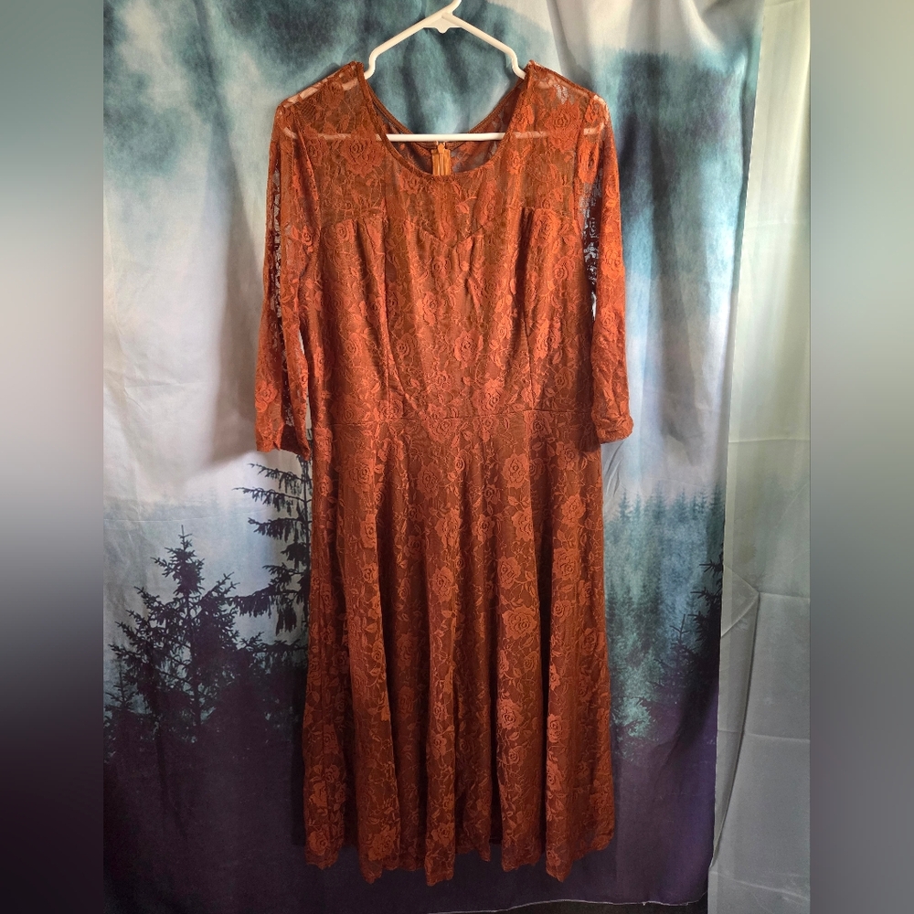 Dressstar long sleeve brown lace dress